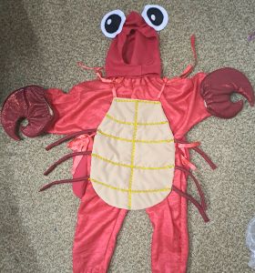 Kids Costumes to Hire - Crab - CHILD